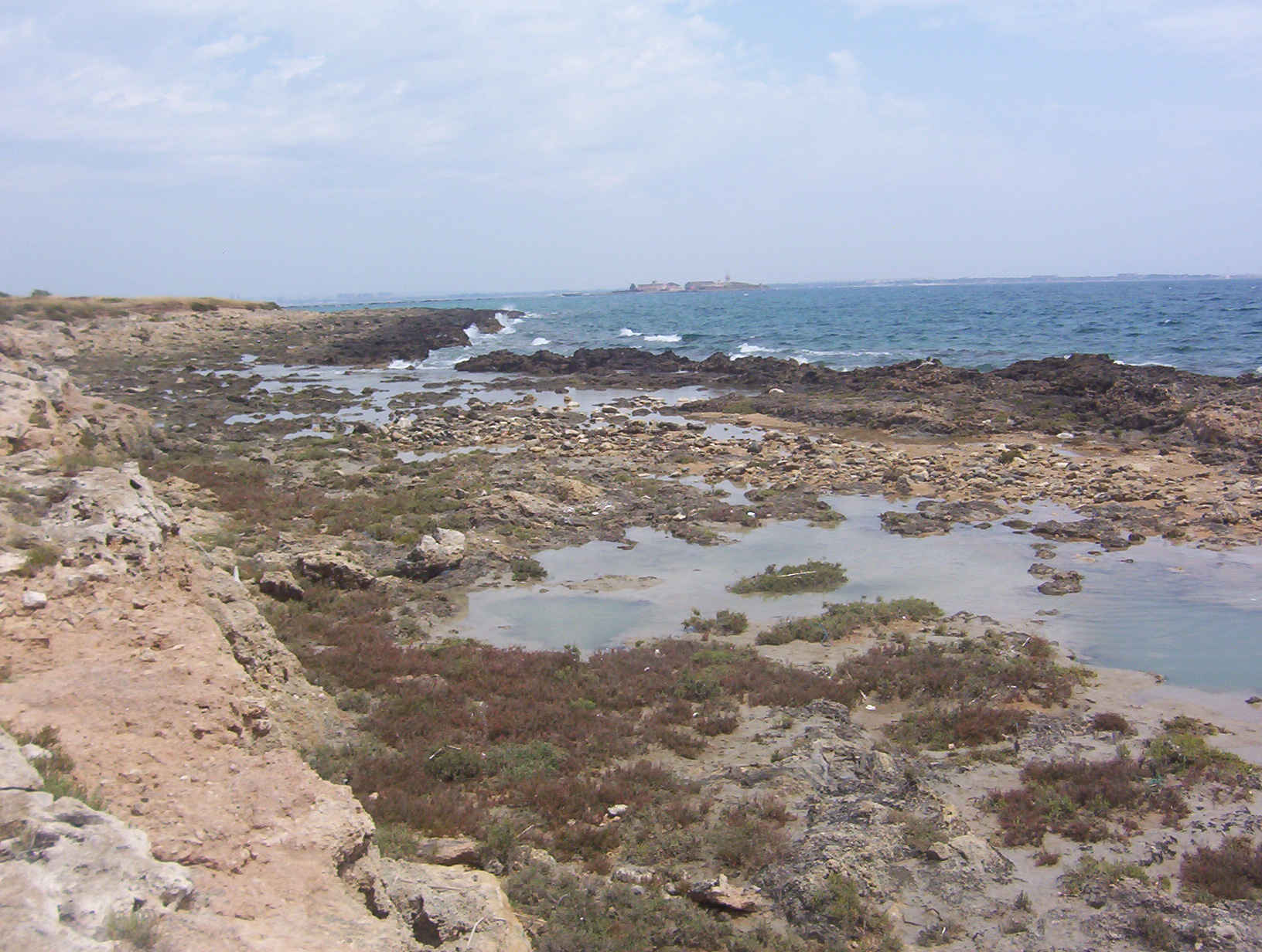 La wave-cut platform dell'Isola di San Pietro; sullo sfondo le strutture fortificate di epoca risorgimentale dell'Isola di San Paolo (Isole Chéradi)