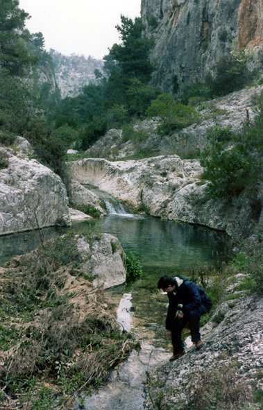 Marmitte nei calcari sul fondo della Gravina di Leucaspide presso Taranto
